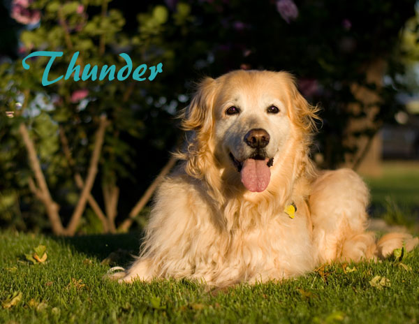 02 February Thunder name