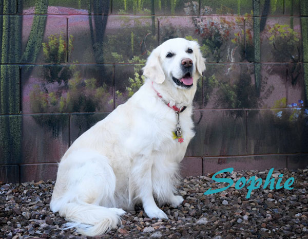 03 March Sophie name