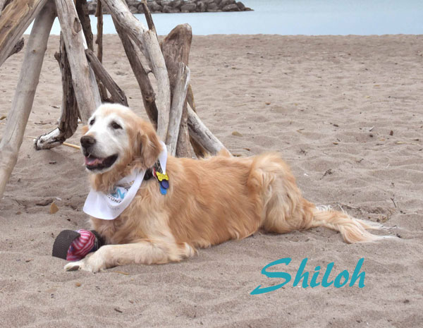 06 June Shiloh name