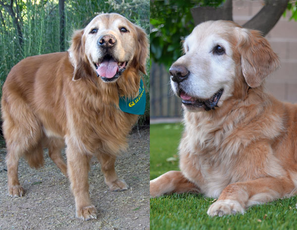 08 August Quincy Harley