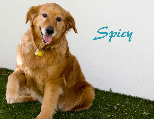 09 September Spicy name