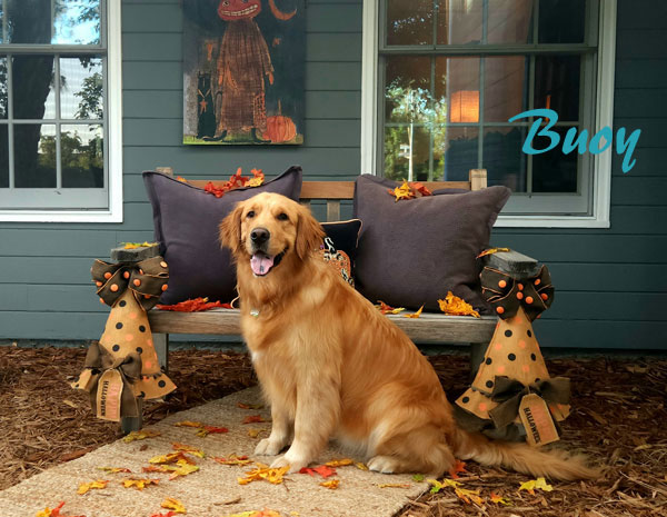 10 October Buoy name