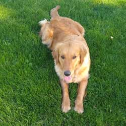 23 018 Aurora now Daisy