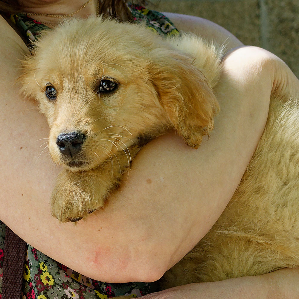 24 034 Carey now Persephone