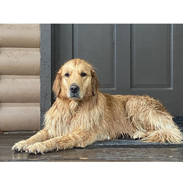 Lexi after enjoying the jacuzzi at Auberge de Sedona