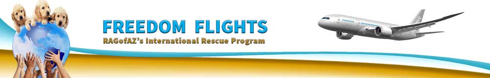 International Rescue Banner Freedom FLight