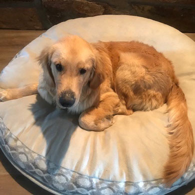 23 040 Beaver now Chance