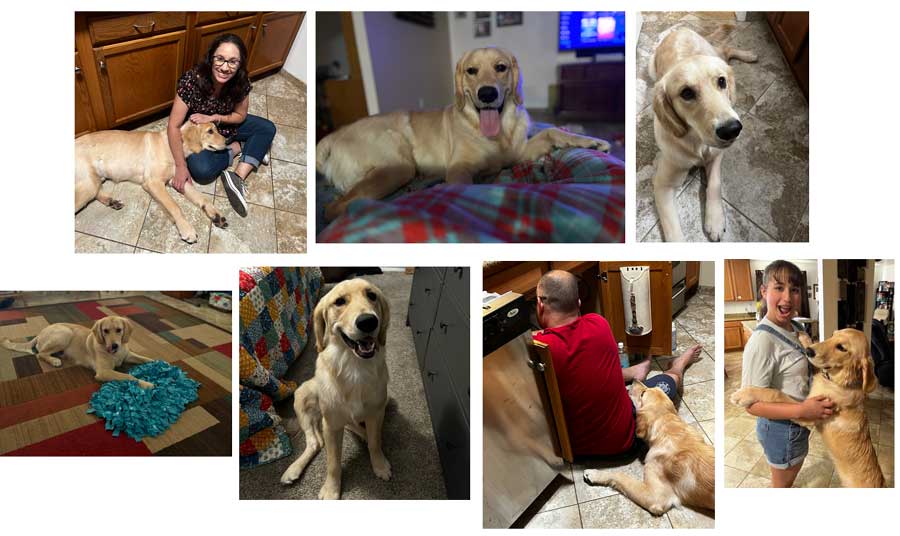 23 042 Appa now Butters1