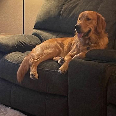 23 009 Cincinnati now Cincy1