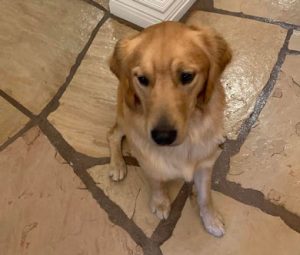 23 012 Dayton now Pickles1