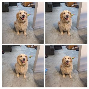 23 030 Ali now Alice2