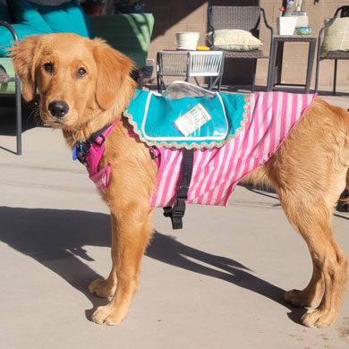 23 050 Orange now Maddie