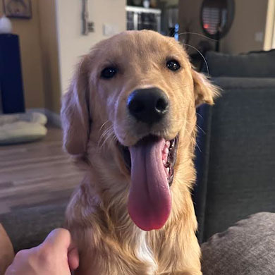 23 051 Mint now Birdie