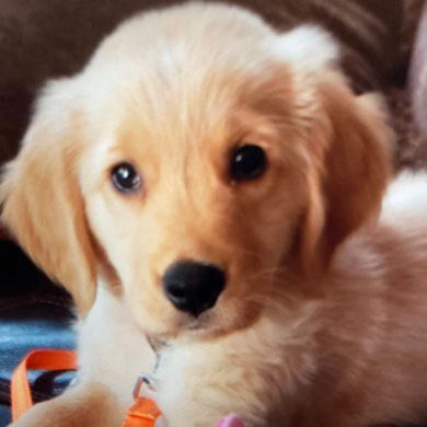 23 053 Black now Winston