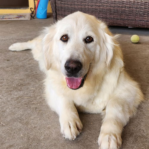 23 069 Beverly now Mia