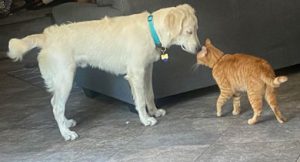 23 075 Bruno now Bosto2n