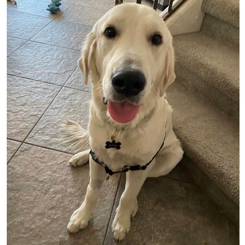 23 075 Bruno now Boston