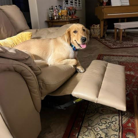 23 079 Anna now Tally