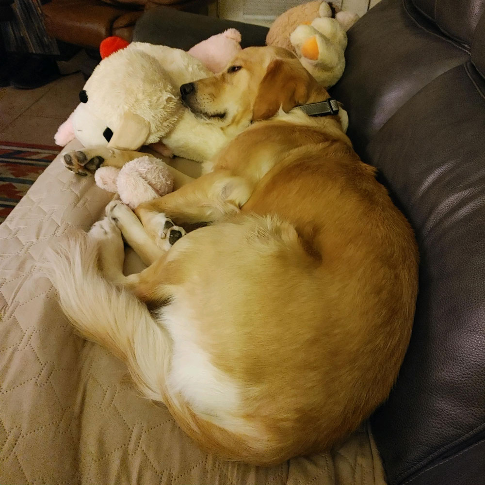 23 110 Blaine now Chloe