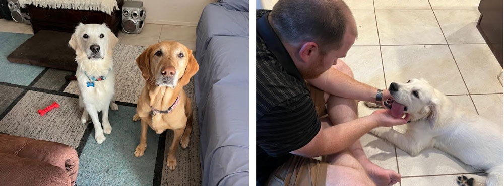 23 099 Clyde now Cooper1