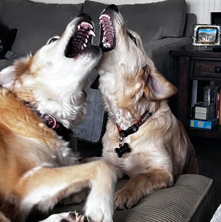 23 145 Solo now Karma