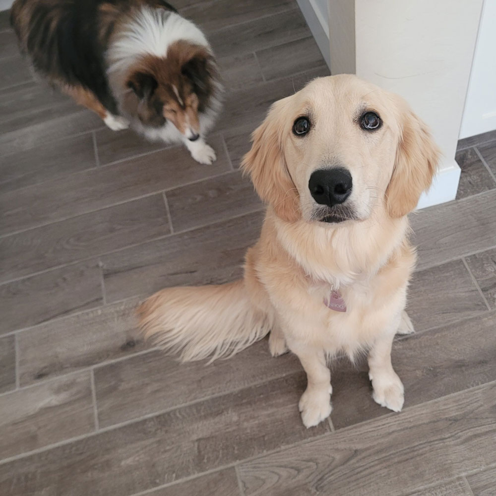 24 001 Rue now Nikki