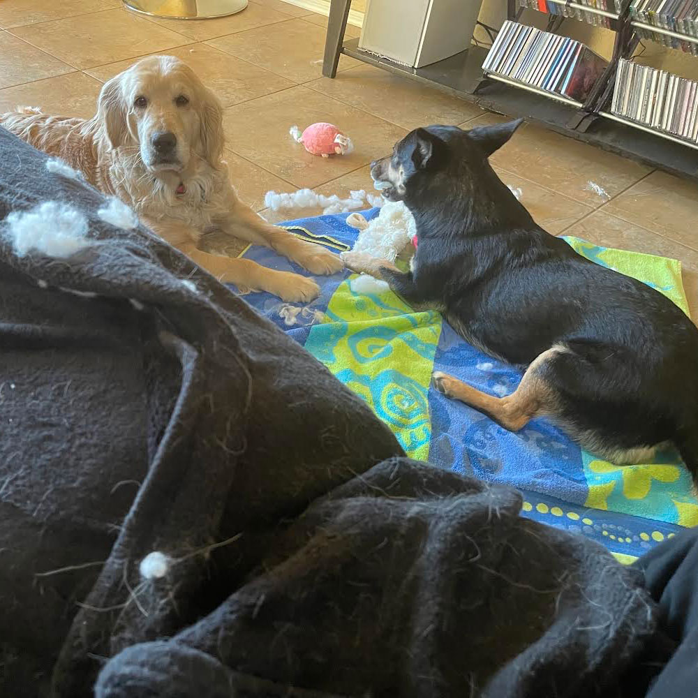 24 013 Avril now Ava