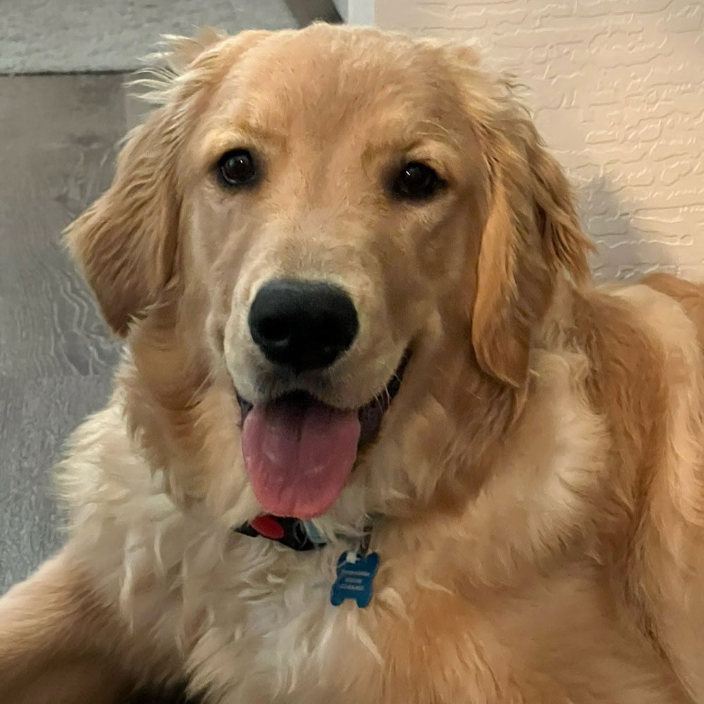 24 025 Lola now Lila