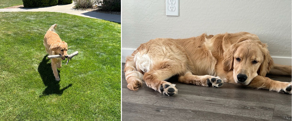 24 025 Lola now Lila1