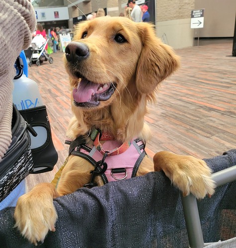 20240316 143904 resized