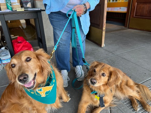 Chi Chi Rescue Dog Book Signing by Elizabeth Howell at Scottsdale Fiesta