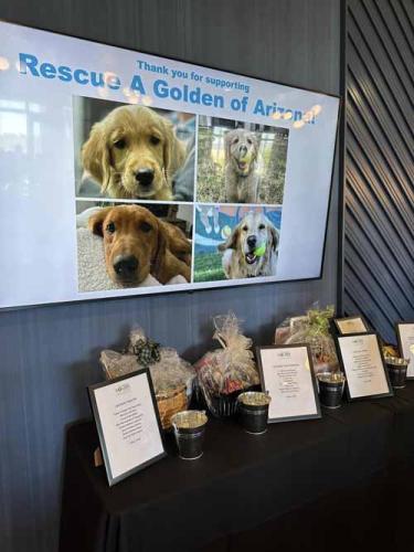 A436007508 409536261697772 5034931474078181252 n